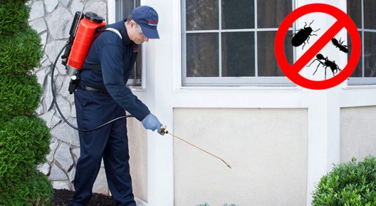 Örnekköy Kemirgen İlaçlama böcek ilaçlama ve haşere kontrolü — ilaclama-tr.com